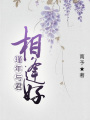 瑾年與君相逢好