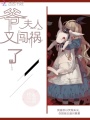 爺夫人又闖禍了