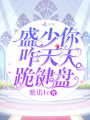 盛少你咋天天跪鍵盤