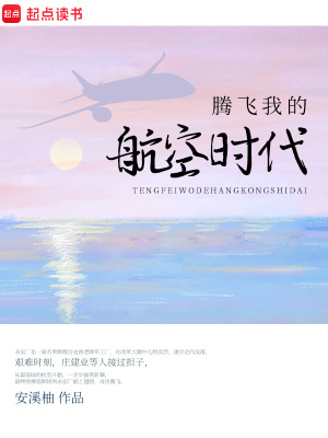 騰飛我的航空時代