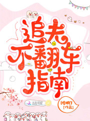追夫不翻車指南