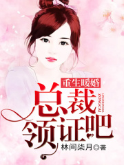 重生暖婚：總裁領證吧