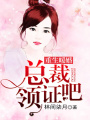 重生暖婚：總裁領證吧