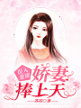 誤入妻途：嬌妻捧上天