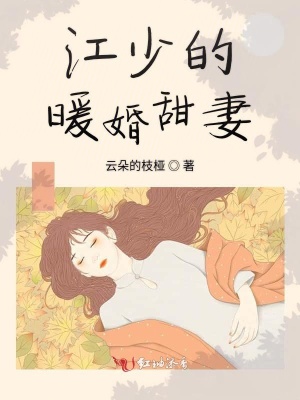 江少的暖婚甜妻