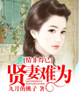 情非得已：賢妻難為
