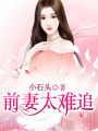 前妻太難追