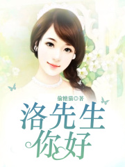 洛先生，你好