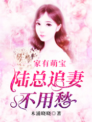 家有萌寶：陸總追妻不用愁