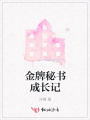 金牌秘書成長記