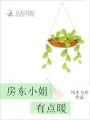 房東小姐有點(diǎn)暖