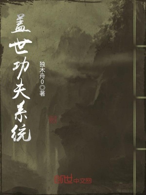 蓋世功夫系統