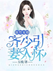 強勢寵婚：齊少，引妻入懷