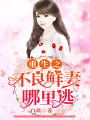重生之不良鮮妻哪里逃