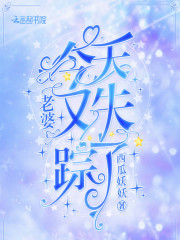 老婆今天又失蹤了