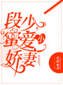 段少蜜愛小嬌妻