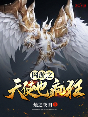 網游之天使也瘋狂