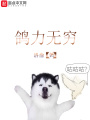 鴿力無(wú)窮