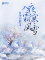 入夜霜寒風(fēng)雪