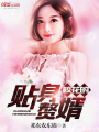 ?；ǖ馁N身贅婿