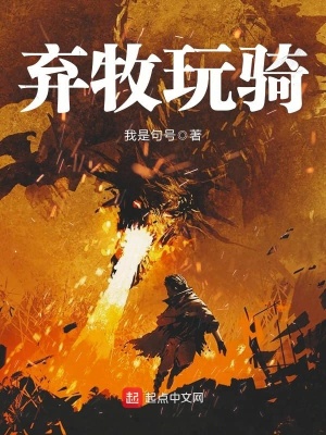網游之幸運圣騎士