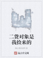 二貨對象是我撿來的