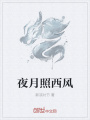 夜月照西風(fēng)