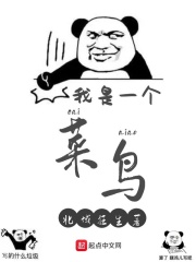 我是一個菜鳥