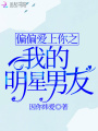 偏偏愛(ài)上你之我的明星男友