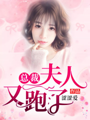 總裁，夫人又跑了