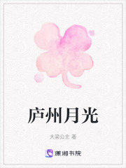 廬州月光