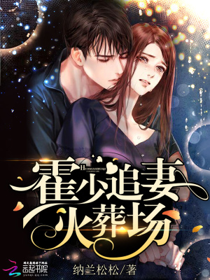 霍少追妻火葬場