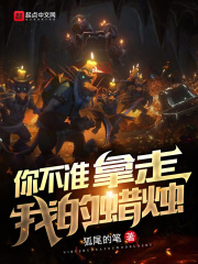 小说《你不准拿走我的蜡烛》全文免费阅读-经典文学