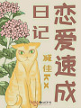 戀愛(ài)速成日記