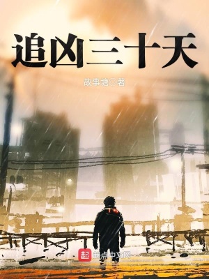 追兇三十天