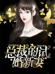總裁的試婚新妻