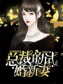 總裁的試婚新妻