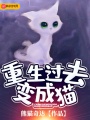 重生過去變成貓