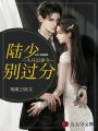 頭號追妻令：陸少別過分