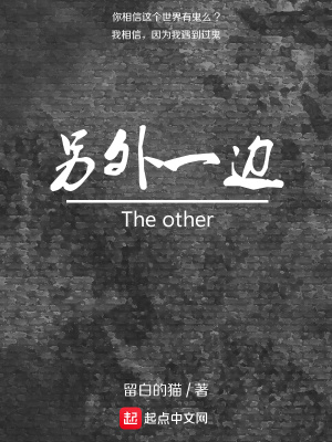 另外一邊
