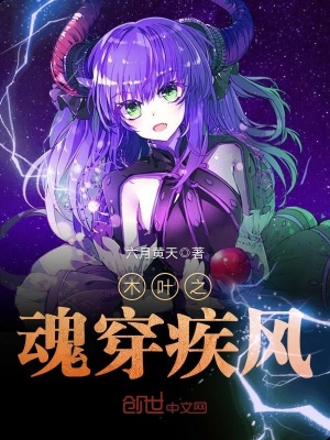 木葉之魂穿疾風