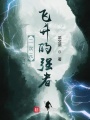 二次元飛升的強者