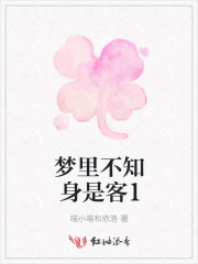 夢里不知身是客1