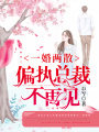 一婚兩散：偏執總裁不再見