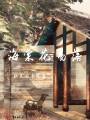 海棠花易落
