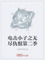 電擊小子之無(wú)盡仇恨第二季