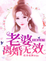 全球追妻令：老婆，離婚無效