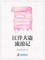 江洋大盜流浪記