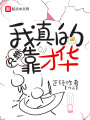 我真的只想靠才華