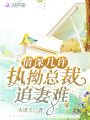 情深幾許執(zhí)拗總裁追妻難